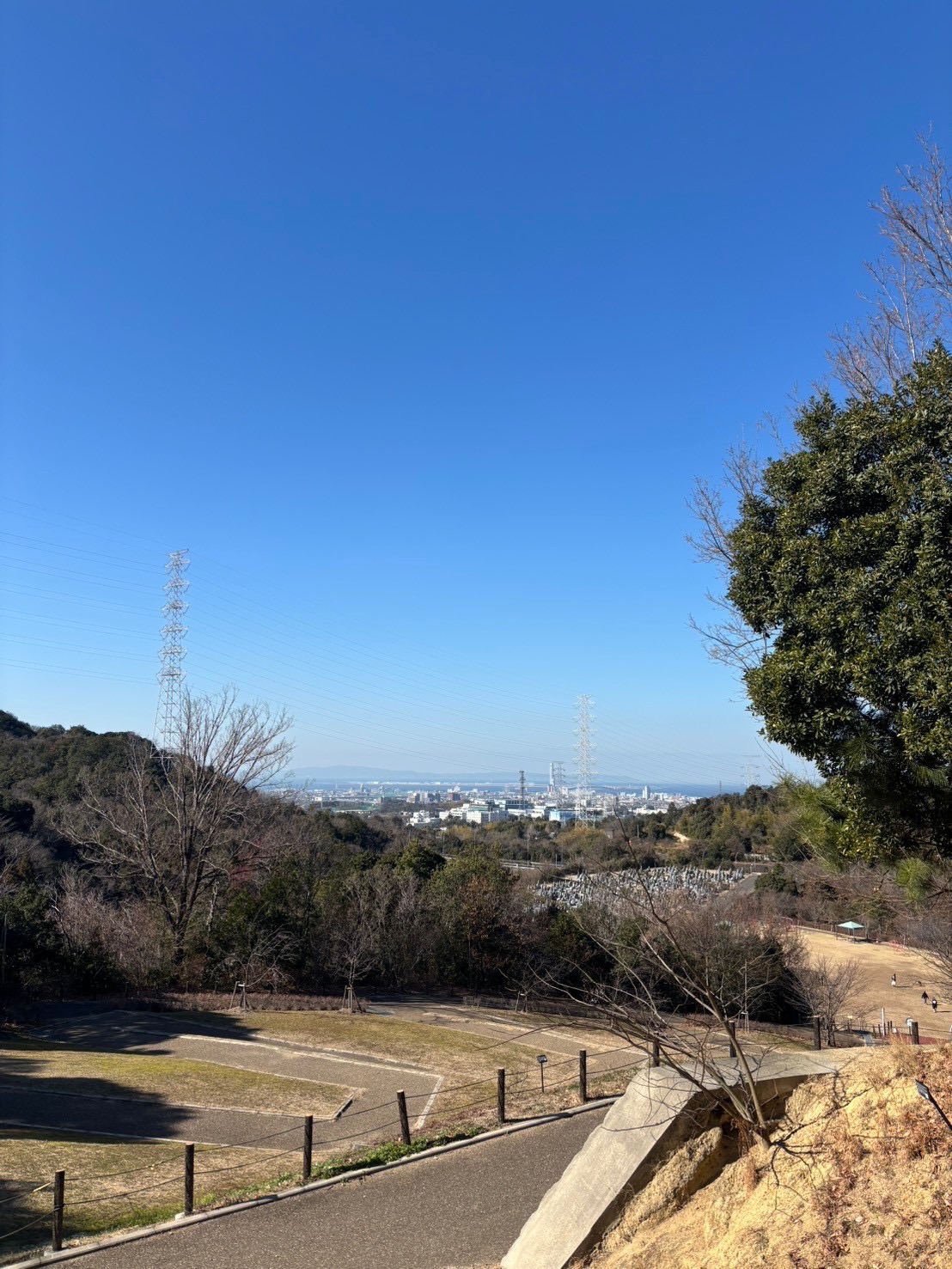 大阪市浪速区の放課後等デイサービスオハナピース大阪日本橋の永楽ゆめの森公園へお出かけ